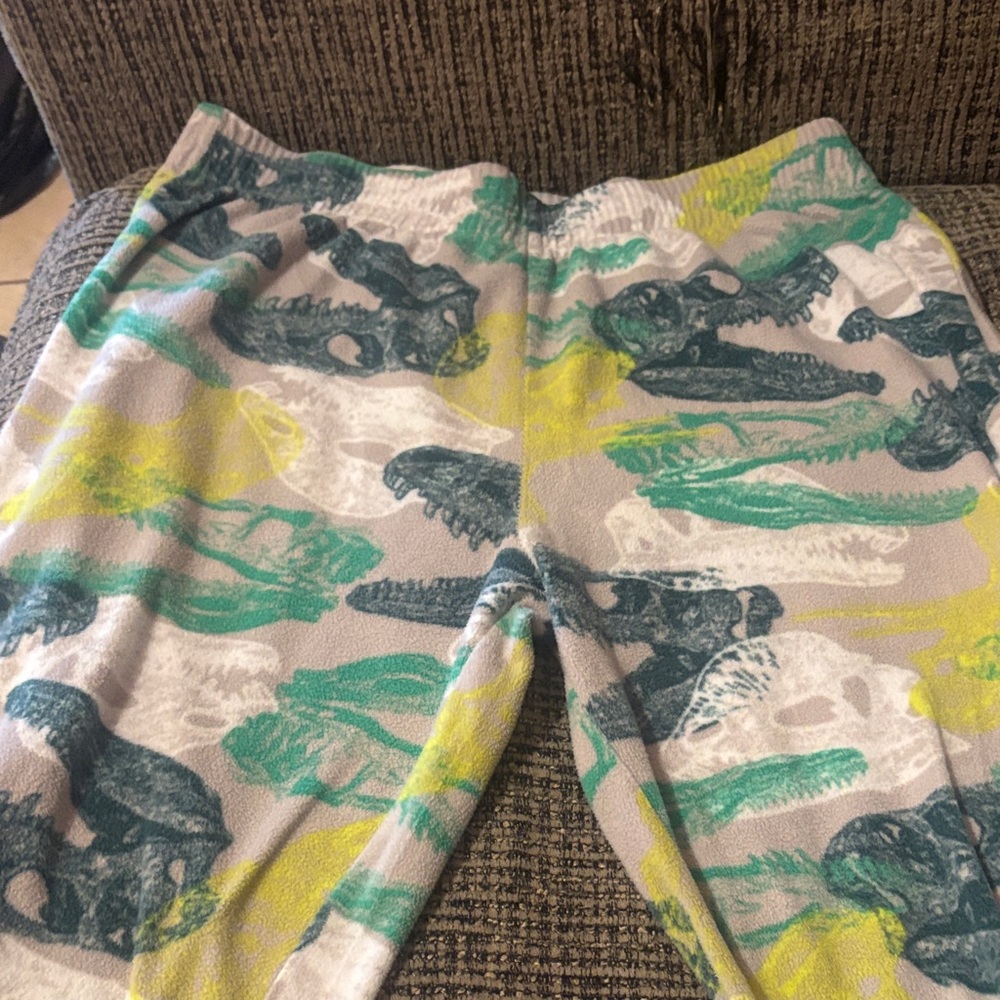 Dinosaur Print Lounge Pants